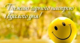 1100laq7-aa9c-408x220.jpg