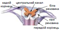 1100le43-fc8e-211x101.png