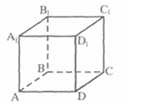 1100lel1-7378-202x156.png