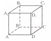 1100lem0-03cf-213x172.png