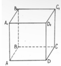 1100leob-62e2-213x227.png