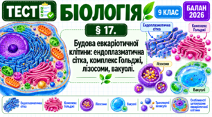 § 17. Будова евкаріотичної клітини: ендоплазматична сітка, комплекс Гольджі, лізосоми, вакуолі