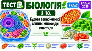 § 18. Будова евкаріотичної клітини: мітохондрії і пластиди 