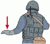 1100lfcd-52a7-174x155.png