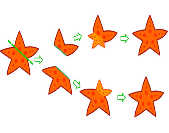 1100lfil-037c-568x446.jpg