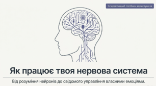 Як працює моя нервова система (урок СЕЕН)