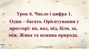 Інтерактивна презентація до інтегрованого уроку з математики та ЯДС: «Число і цифра 1. Один – багато. Орієнтування у просторі. Жива та нежива природа» (ПДШ, 1 клас НУШ)