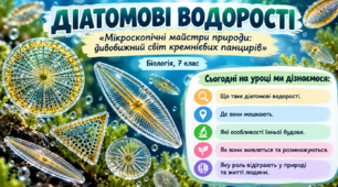 Діатомові водорості