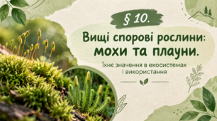§ 10. Вищі спорові рослини: мохи та плауни. Їхнє значення в екосистемах і використання