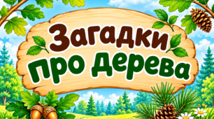 Дидактичні картки «Загадки про дерева»