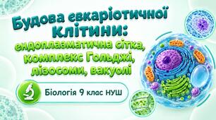 Презентація до теми: "Будова евкаріотичної клітини: одномембранні органели". Біологія 9 клас НУШ