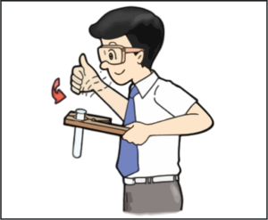 1100lr7r-cb7e-300x247.png