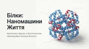 16. Будова та біологічна роль білків