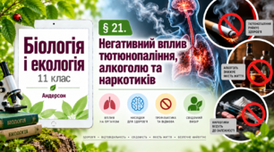 Негативний вплив тютюнопаління, алкоголю та наркотиків. Презентація, інфографіка, робочий аркуш