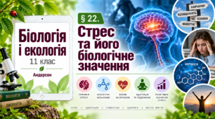 Стрес та його біологічне значення. Презентація, інфографіка, робочий аркуш
