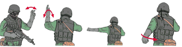 image previewed