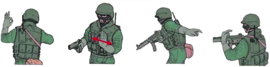 image previewed