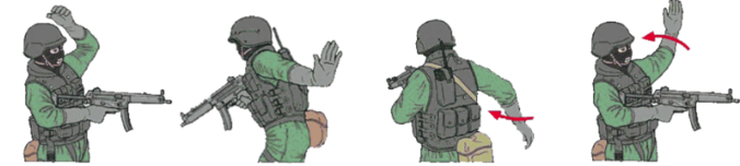 image previewed