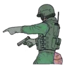 image previewed