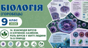 Взаємодія вірусів із клітиною-хазяїном. Роль вірусів у житті людини та в природі. Презентація, інфографіка, робочий аркуш