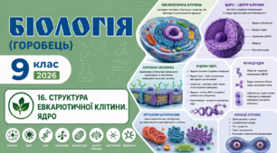 Структура евкаріотичної клітини. Ядро. Презентація, інфографіка, робочий аркуш