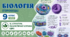 Структура евкаріотичної клітини. Ядро. Презентація, інфографіка, робочий аркуш