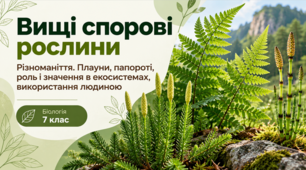 Презентація «Вищі спорові рослини. Різноманіття. Хвощі, папороті, їхня роль в екосистемах та використання людиною»  Біологія, 7 клас. НУШ