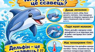 Творче завдання "Чому дельфін це ссавець?"