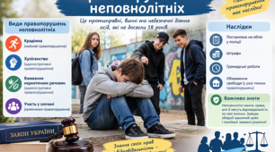 Частина 1 ОСНОВИ ТЕОРІЇ ДЕРЖАВИ ТА ПРАВА Правопорушення  § 4 (О. Наровлянський - 2026 НУШ)