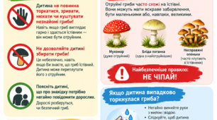 Консультація для батьків «Обережно, гриби! Правила безпечної прогулянки парком»