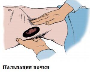 https://newpeople.kiev.ua/wp-content/uploads/manualnaya-diagnostika-300x241.jpg