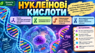 Нуклеїнові кислоти. Будова, структурна організація, властивості та основні функції. ДНК і РНК