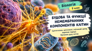 § 12. Будова та функції немембранних компонентів клітин (цитоплазма, цитоскелет, клітинний центр, веретено поділу). Органели руху клітин