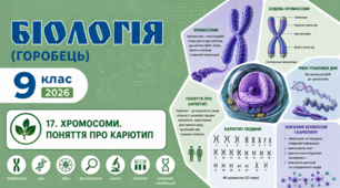 Хромосоми. Поняття про каріотип. Презентація, інфографіка, робочий аркуш