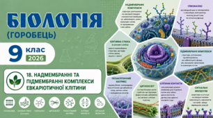 Надмембранні та підмембранні комплекси евкаріотичної клітини. Презентація, інфографіка, робочий аркуш