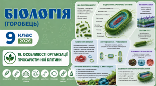Особливості організації прокаріотичної клітини. Презентація, інфографіка, робочий аркуш