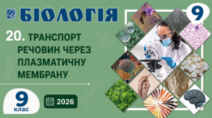 Транспорт речовин через плазматичну мембрану. Презентація, інфографіка, робочий аркуш