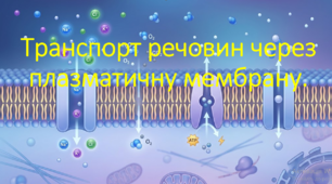 9 клас. НУШ. Біологія. Презентація до уроку: Транспорт речовин через плазматичну мембрану.