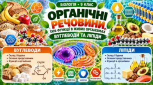 Органічні речовини, їхні функції в живих організмах. Вуглеводи та ліпіди.  БІОЛОГІЯ. 9 КЛАС