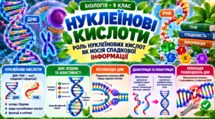 Нуклеїнові кислоти. Роль нуклеїнових кислот як носія спадкової інформації. ДНК: будова та властивості  БІОЛОГІЯ. 9 КЛАС