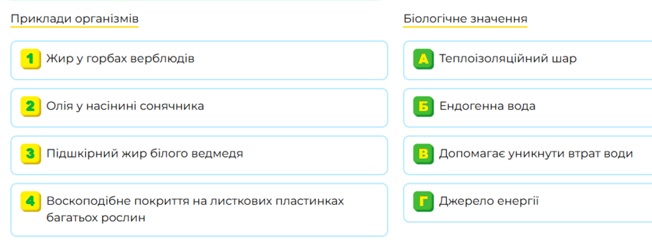 1100mq1n-545e-940x359.png