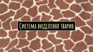 Презентація-конспект з біології "Система виділення тварин"