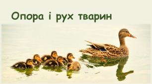Презентація-конспект з біології "Опора і рух тварин"