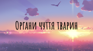 Презентація-конспект з біології "Органи чуття тварин"