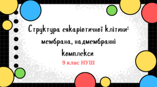 Структура евкаріотичної клітини: мембрана, надмембранні комплекси