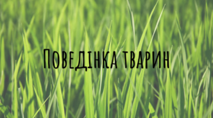 Презентація-конспект з біології "Поведінка тварин"