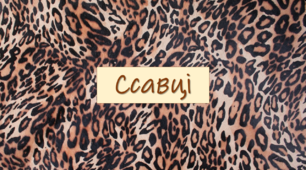 Презентація-конспект з біології "Ссавці"