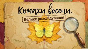 Презентація "Комахи восени"