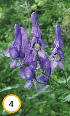 1100n8b3-8989-238x396.png