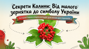 Секрети калини: від малого зернятка до символу України.  Українські традиції та садівництво